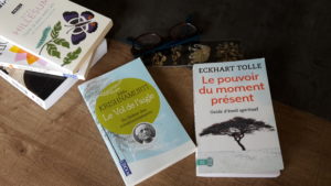 Terre de Reiki : Reiki, Massage Ayurvédique, Méditation à Quimper dans le Finistère ( 29 ) 